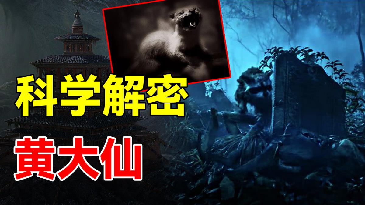 民间不祥生物黄鼠狼,在农村遇到黄鼠狼该怎么办