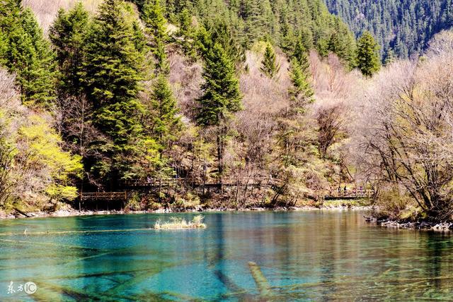 小说：他们接受检查却误以为是黑魔法，一场大战即将到来