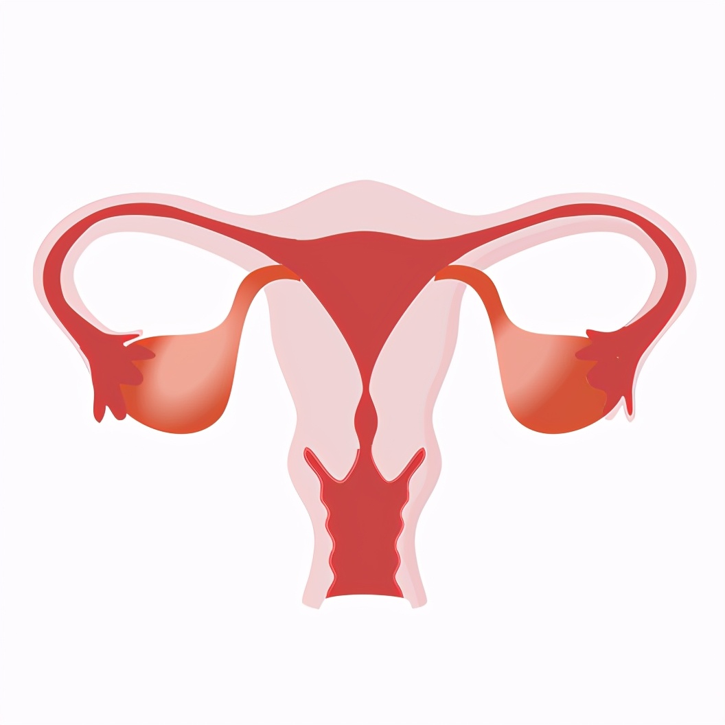 子宫肌瘤发病率,子宫肌瘤发病率一览表