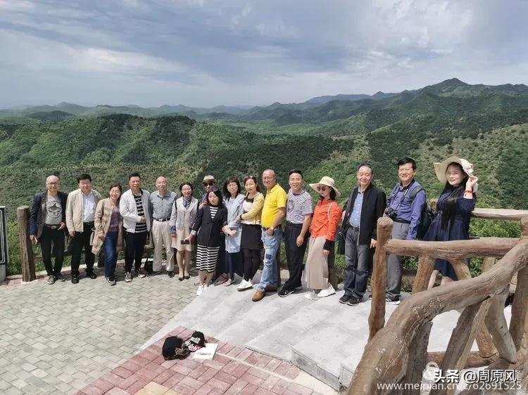 赴一场春日的邀约,五月赴一场与槐花的约会