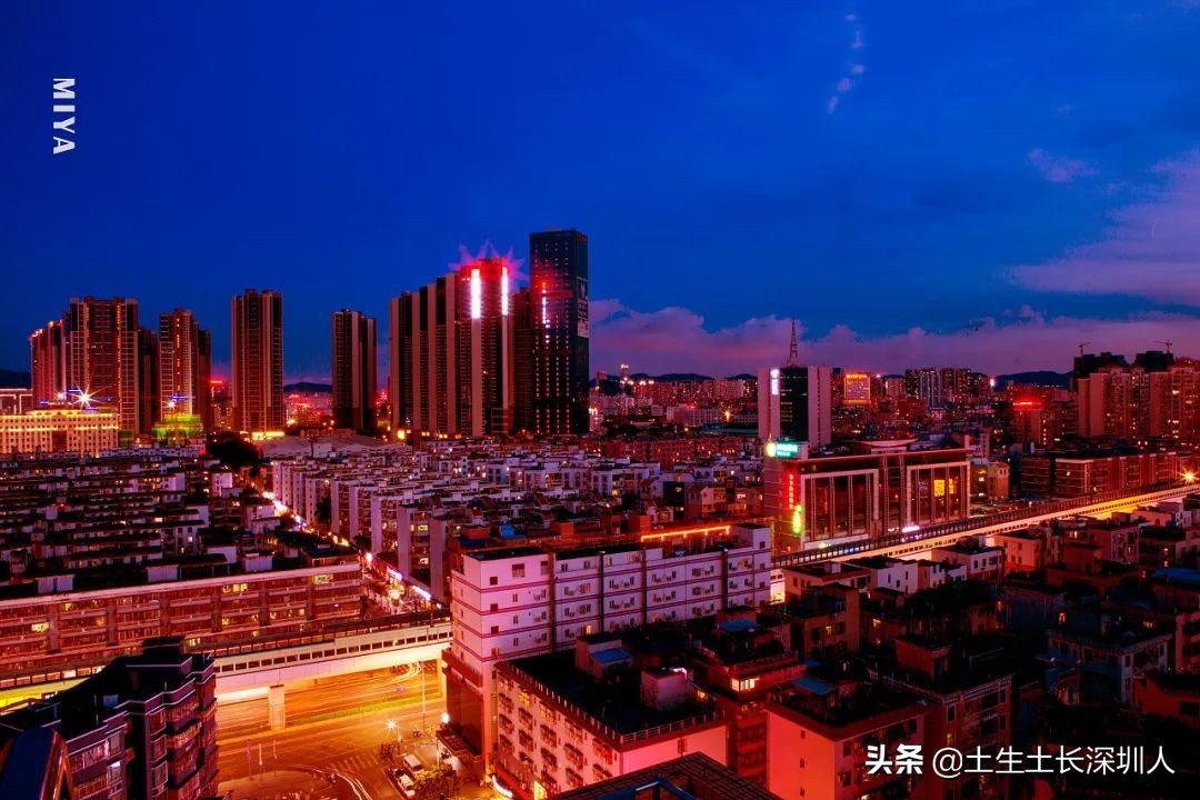 龙华有哪些街道,龙华村的由来