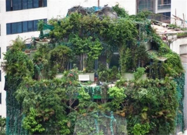 养老项目？私人祠堂？比王府更气派的袁府，颠覆你的认知