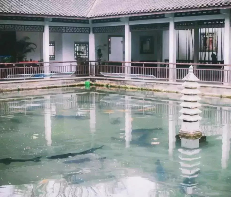 只有早起的老杭州才知道的秘密福利，西湖的绝佳搭档