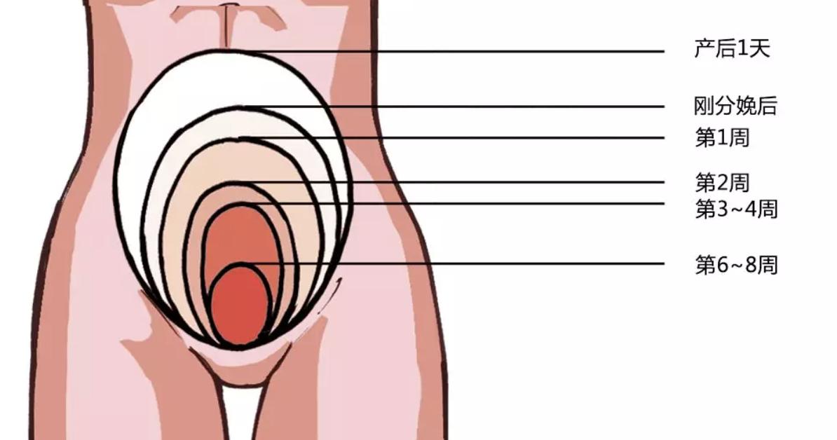 暑天如何度过产褥期｜了解产褥期生理特点，科学“坐月子”上篇