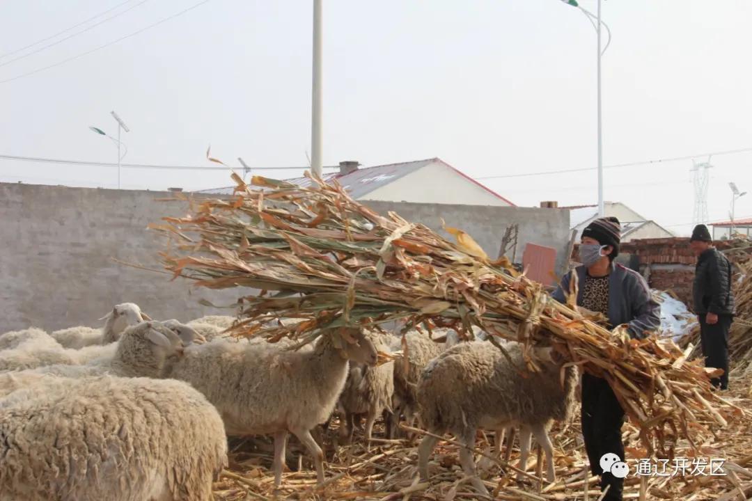 春色最浓在田间种植养殖齐发展