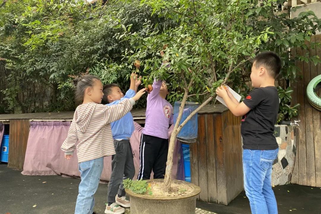 秋天你好吗,秋天你好