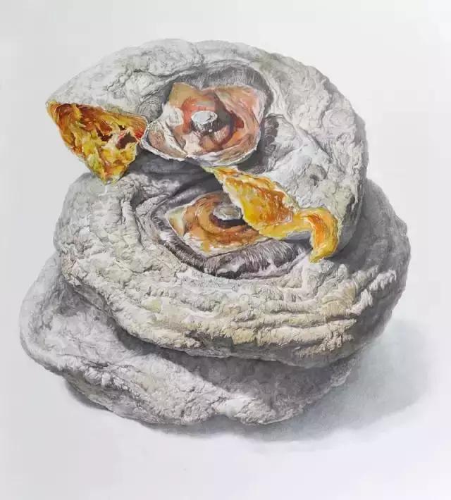 央美精微素描作画过程,央美精微素描17级