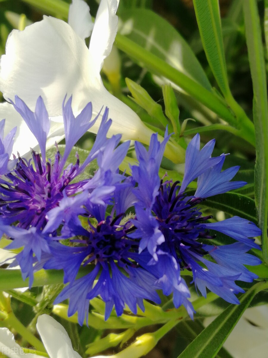 下班路上捡了100元,路边捡到100块钱引起的故事