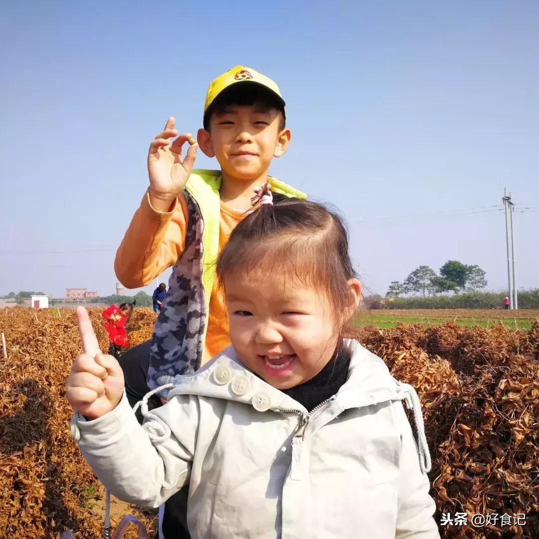 铁棍山药与普通山药哪种好吃,铁棍山药和小白嘴山药味道的区别
