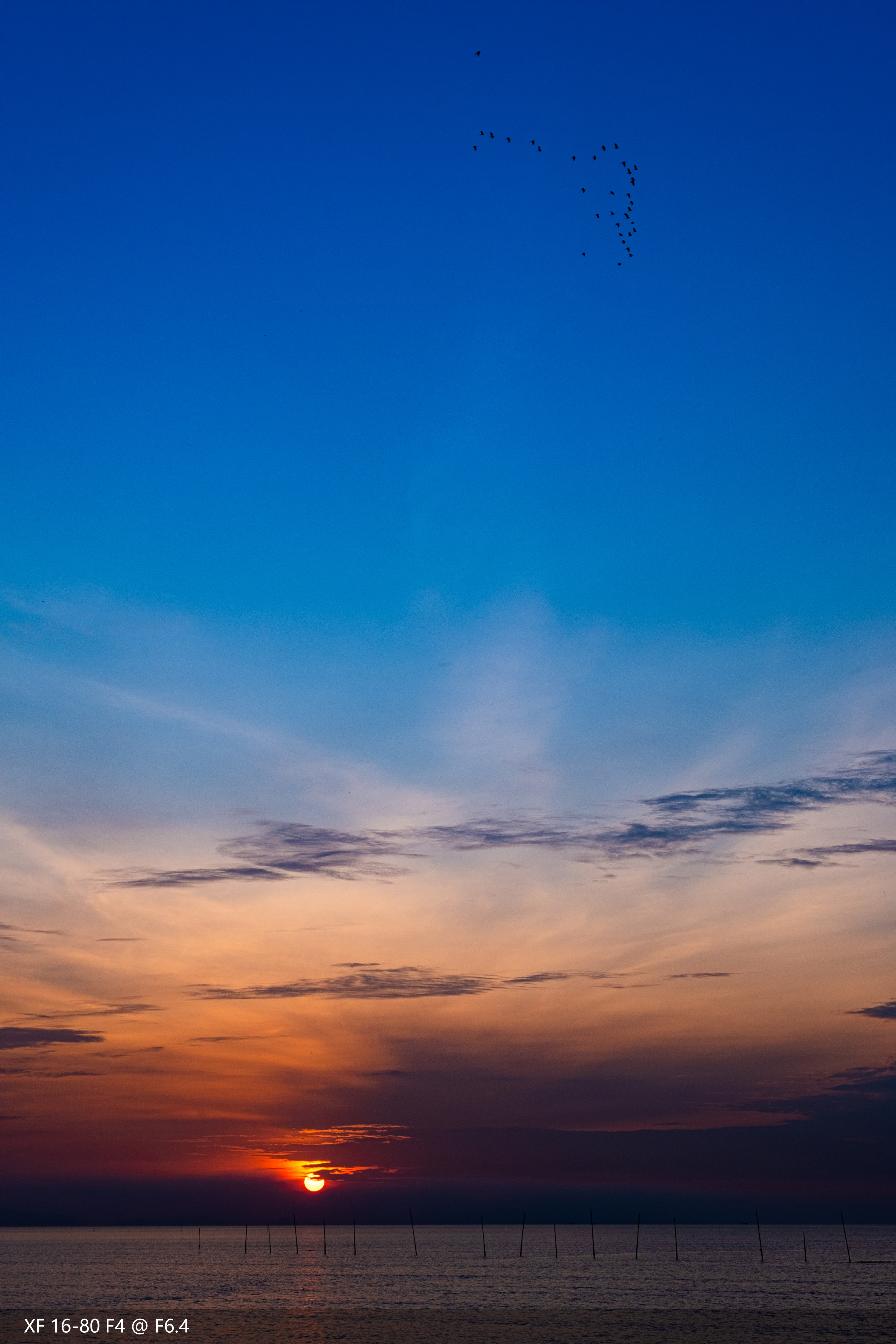 富士xf16-55mmf2.8即将更新,富士xf16-80镜头全天候