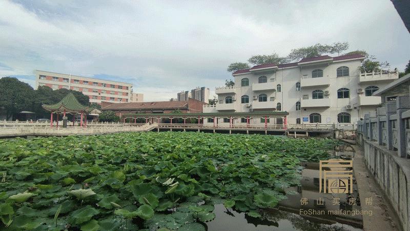 张槎莲塘村宅基地,佛山市禅城区张槎莲塘村房屋拍卖