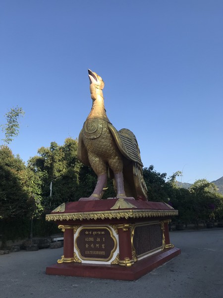 鑺掑競鍜岃吘鍐茬憺涓藉摢涓ソ,鑵惧啿鐟炰附鑺掑競瑗垮弻鐗堢撼