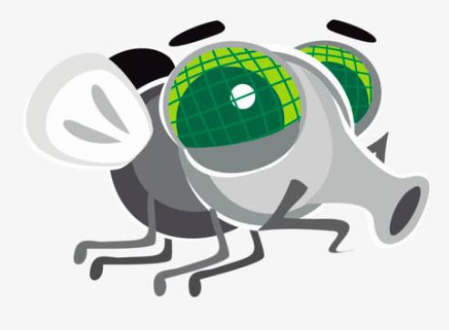 苍蝇消失了对地球有什么影响,苍蝇如果灭绝会造成什么后果