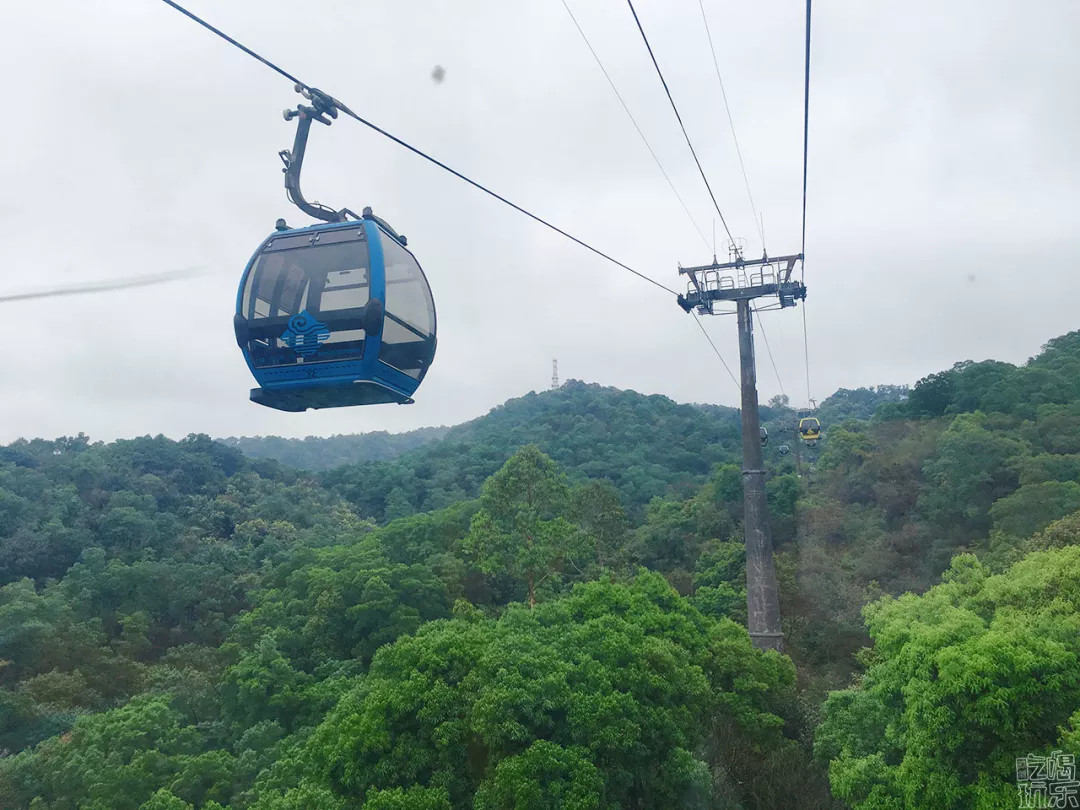 最新白云山风景区攻略,广州白云山野采好去处
