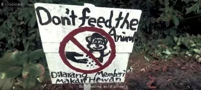 一部令人心酸的真实纪录片,难以忽视的真相纪录片讲了什么