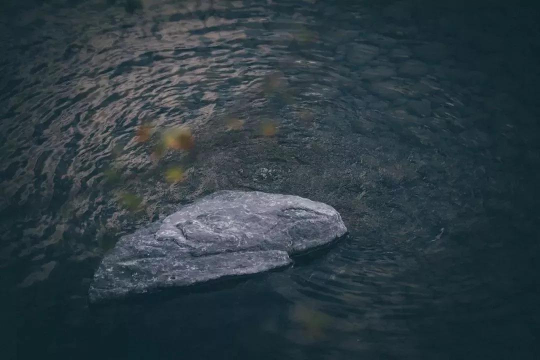 苏州山水樾澜庭劣势,苏州山水樾澜庭