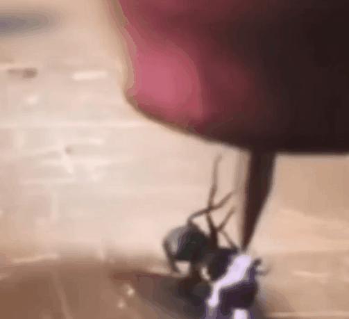 干掉蚊子的100种方法,消灭蚊子的100种方法第24种