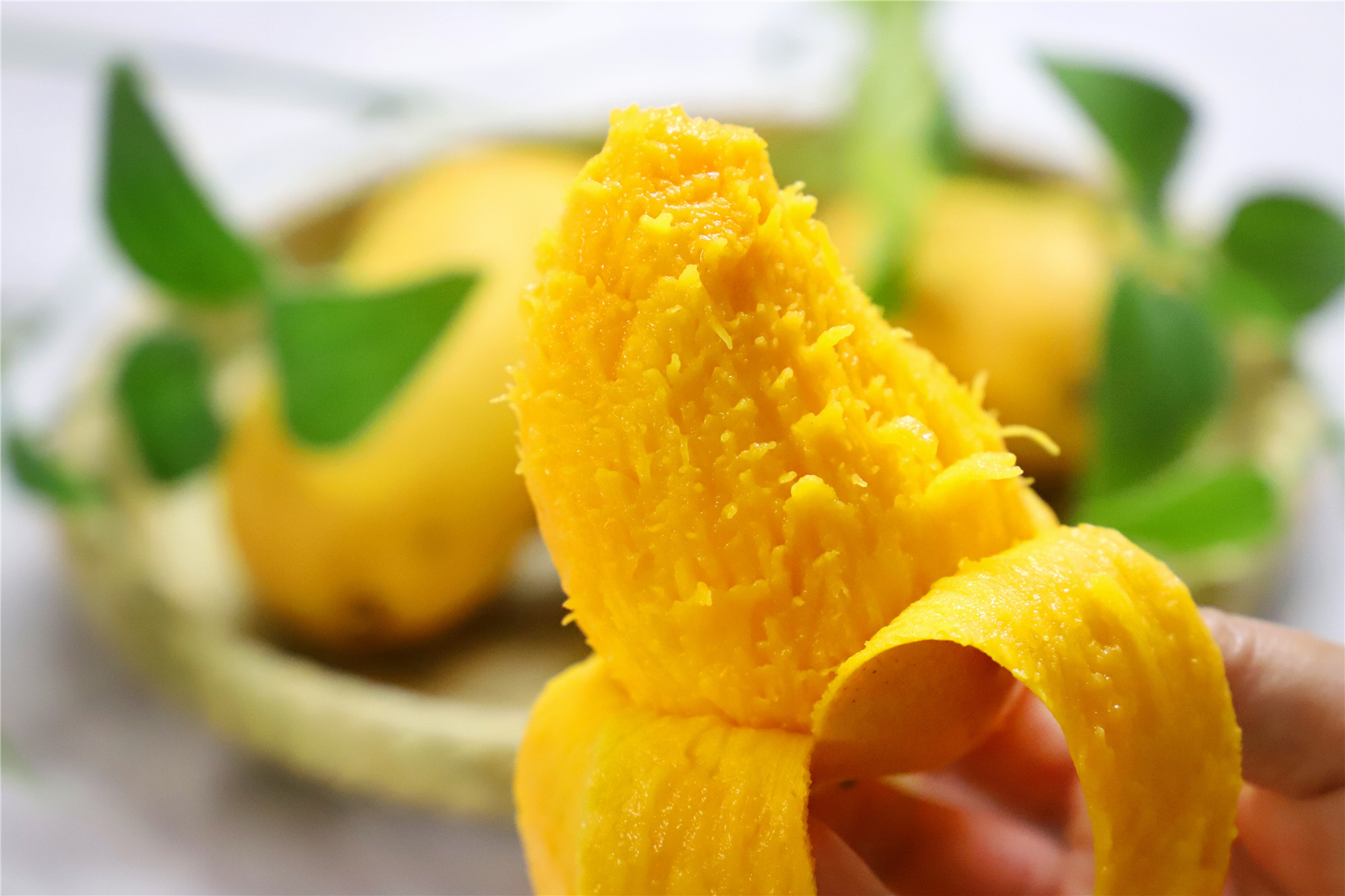 芒果挑选小指南,芒果要如何挑选