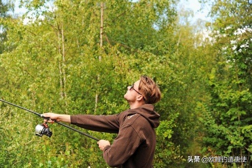 欧鲤钓竿买多长合适呢,欧鲤钓竿全套装备推荐