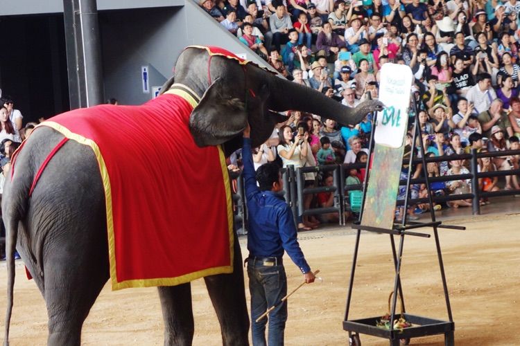 泰国十大私人园林,泰国游之旅
