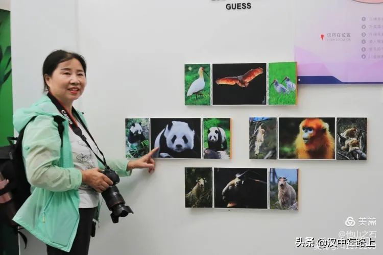 汉中户外遛娃好去处排行榜,汉中遛娃旅游景点有哪些