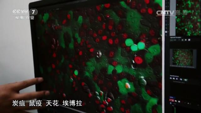 她是中国最牛生化*器武**防御专家,击退非典,炭疽化武防御领先世界