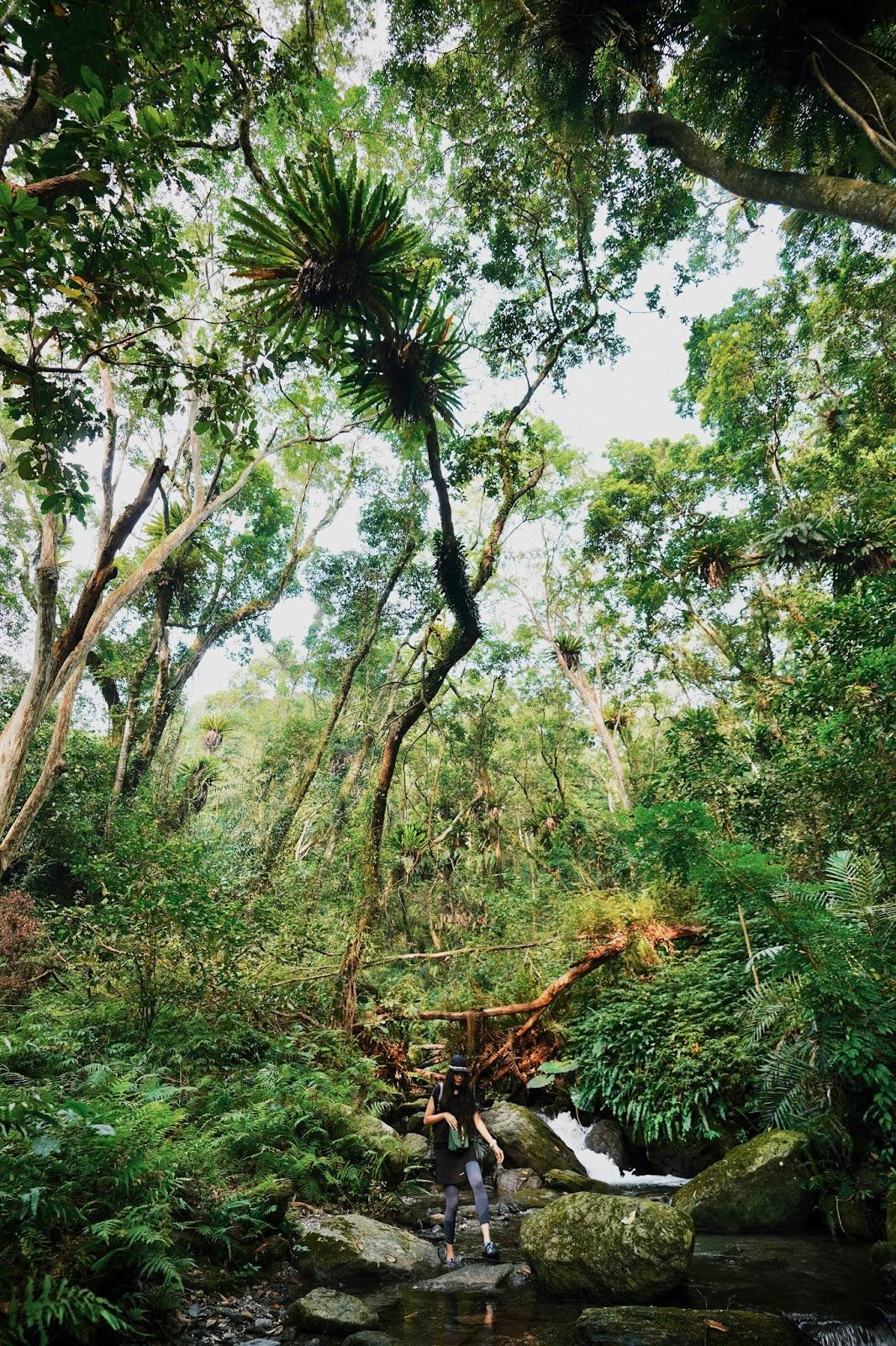 科恩keen溯溪鞋测评,溯溪鞋keen