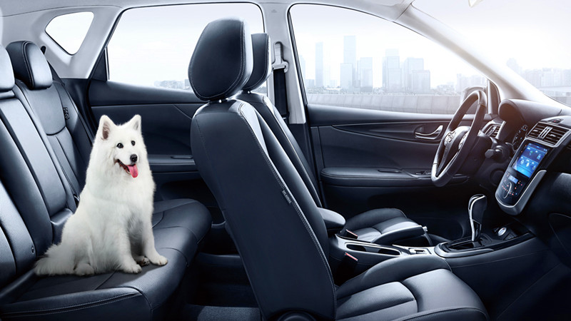 2019款骐达适合男人开吗,买骐达的10大忠告2020款