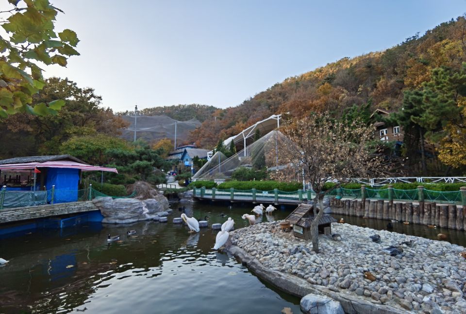 大连老虎滩5a景区,大连老虎滩5馆旅游攻略