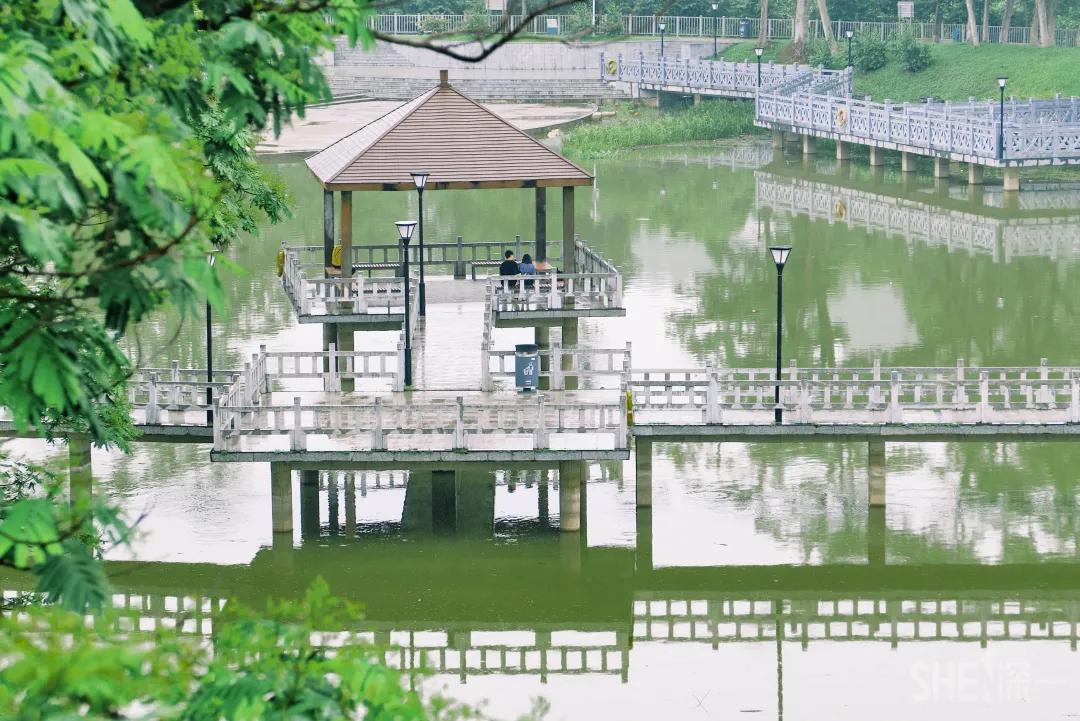 深圳八大绝美公园,山水公园深圳