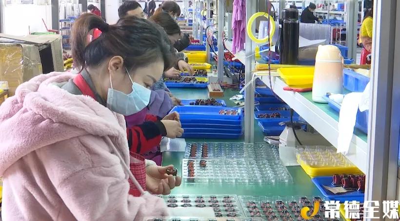 桃源西安镇有黄桃，有锥栗，还有扶贫车间，老百姓安居乐业