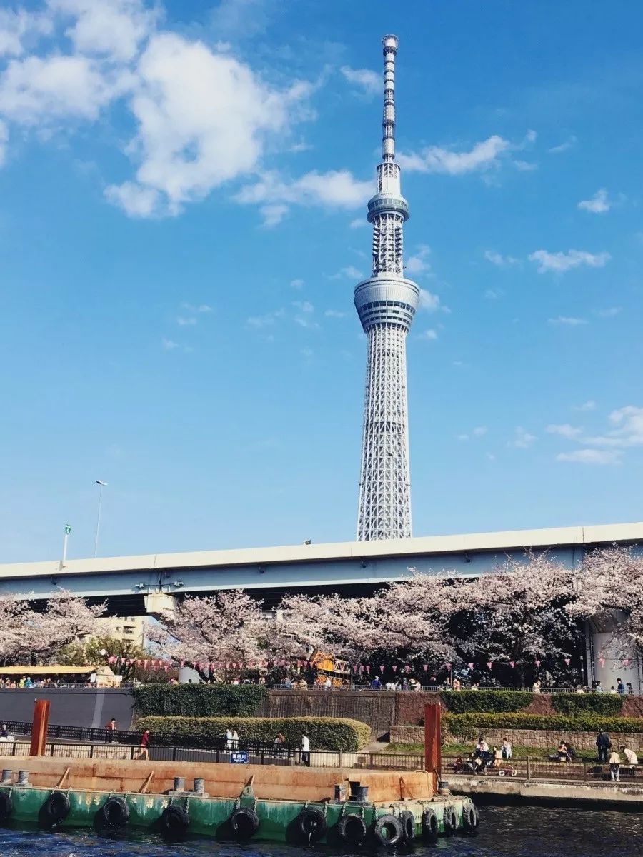 iphone原相机拍照磨皮修图,iphone好用的拍照修图软件