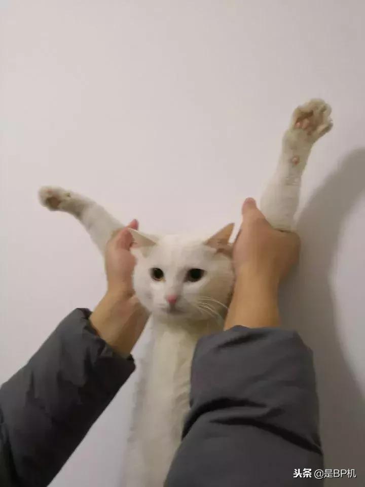 2018无法超越的境地,微信消息无法撤回