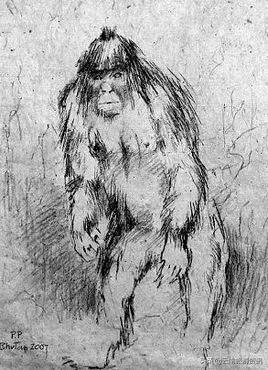 香巴拉图片什么意思,香巴拉是干什么的