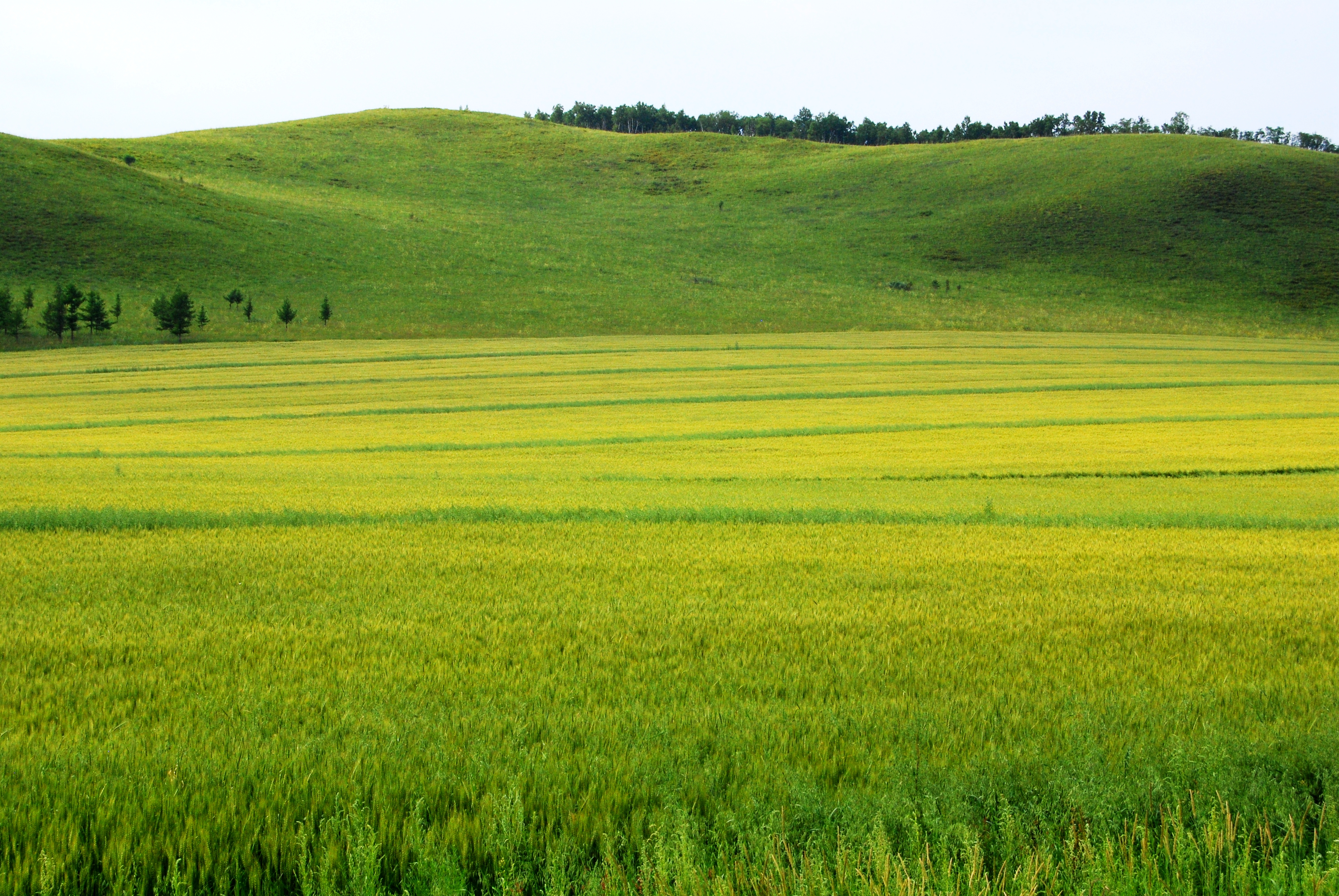 一辆车,从东乌旗沿中蒙边境公路到阿尔山,漫长边关寻迹历史遗存