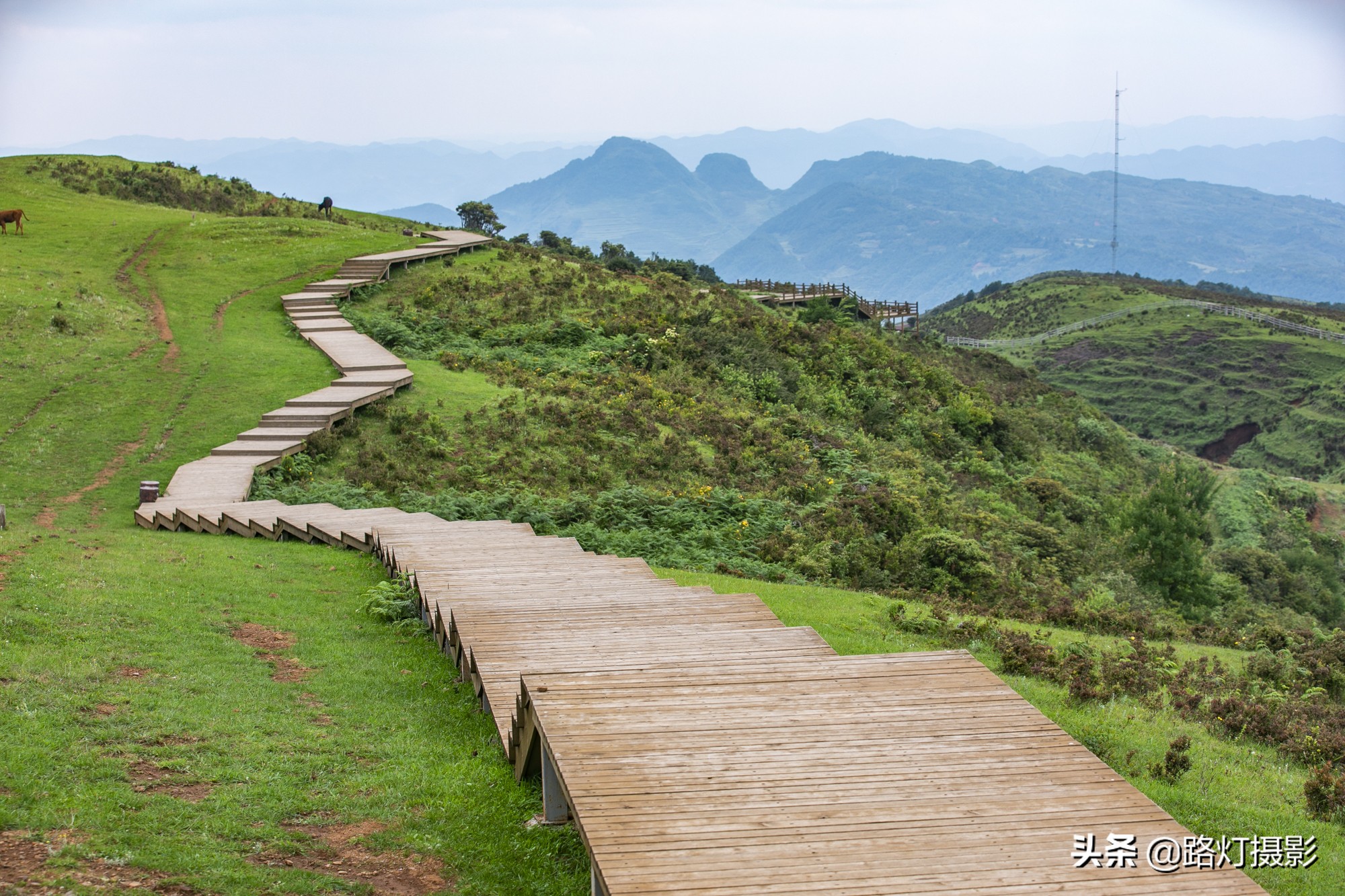 夏天凉快又好玩的旅游景点,避暑胜地夏天特别凉爽