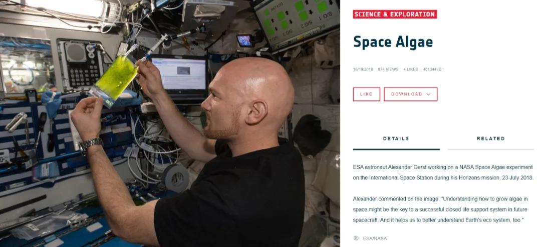纽曼斯绽放CBME，携手营养巨擘NBTY合作工厂从“心”开始