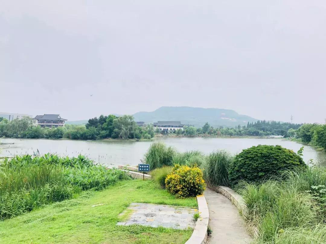 江宁大学城g45地块,江宁大学城g99地块最新动态