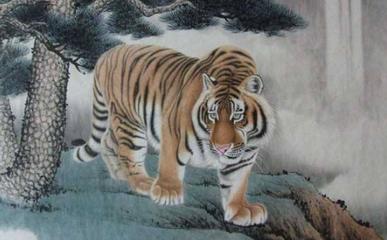 2019猪生肖每月运势李居明,2019特吉生肖运势