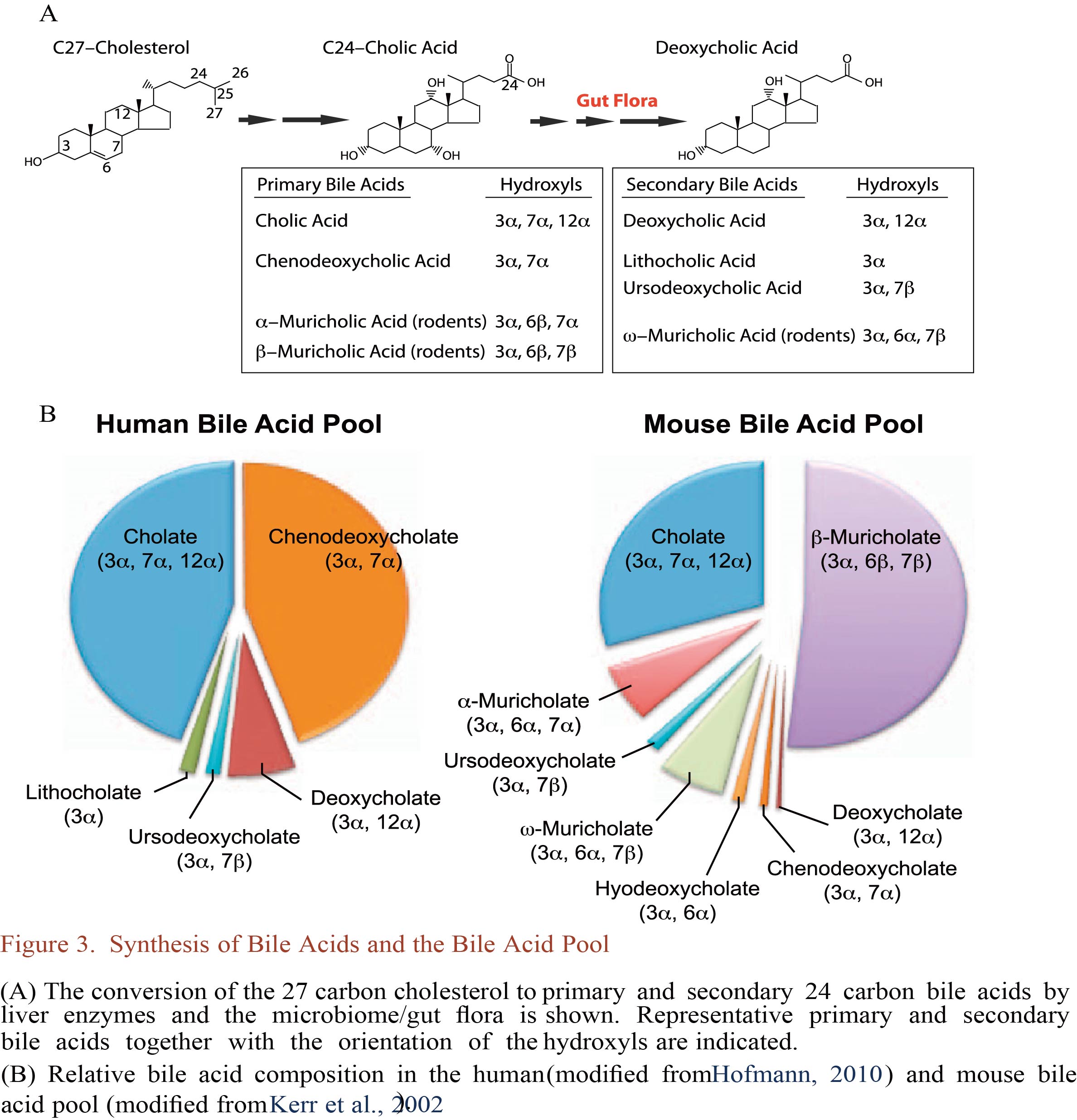 cellmetabolism和cell关系,cellmetabolism影响力