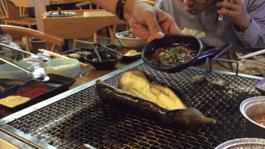 大光明自助生蚝,最真实的生蚝自助