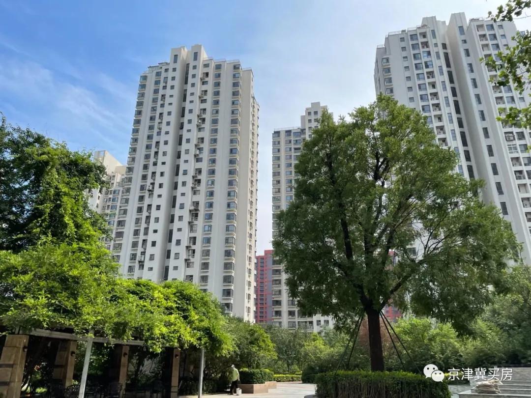 朝青2018年价格,朝青价格走势