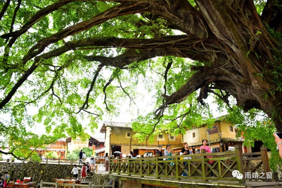 「厉害了」蝉联全省经济发展“十佳”县！南靖，就是这么牛