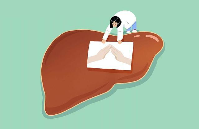 肝脏可能出现健康问题的提示,肝脏疲劳怎么调理
