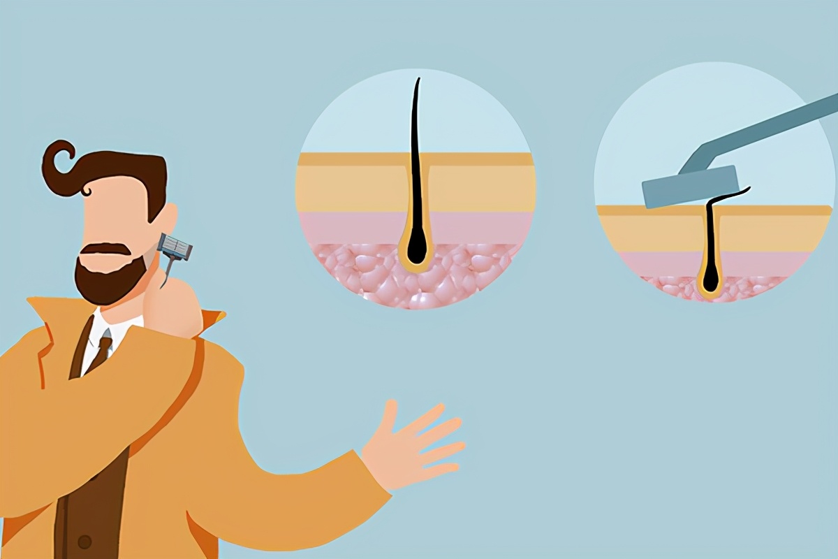 男人剃胡子的次数影响寿命吗,减少刮胡子的次数胡子会变少点吗