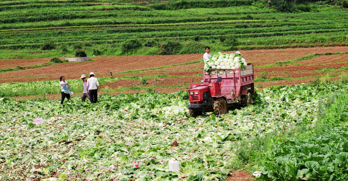 野生保护动物养殖许可证怎么办理,野生保护动物养殖证怎么用