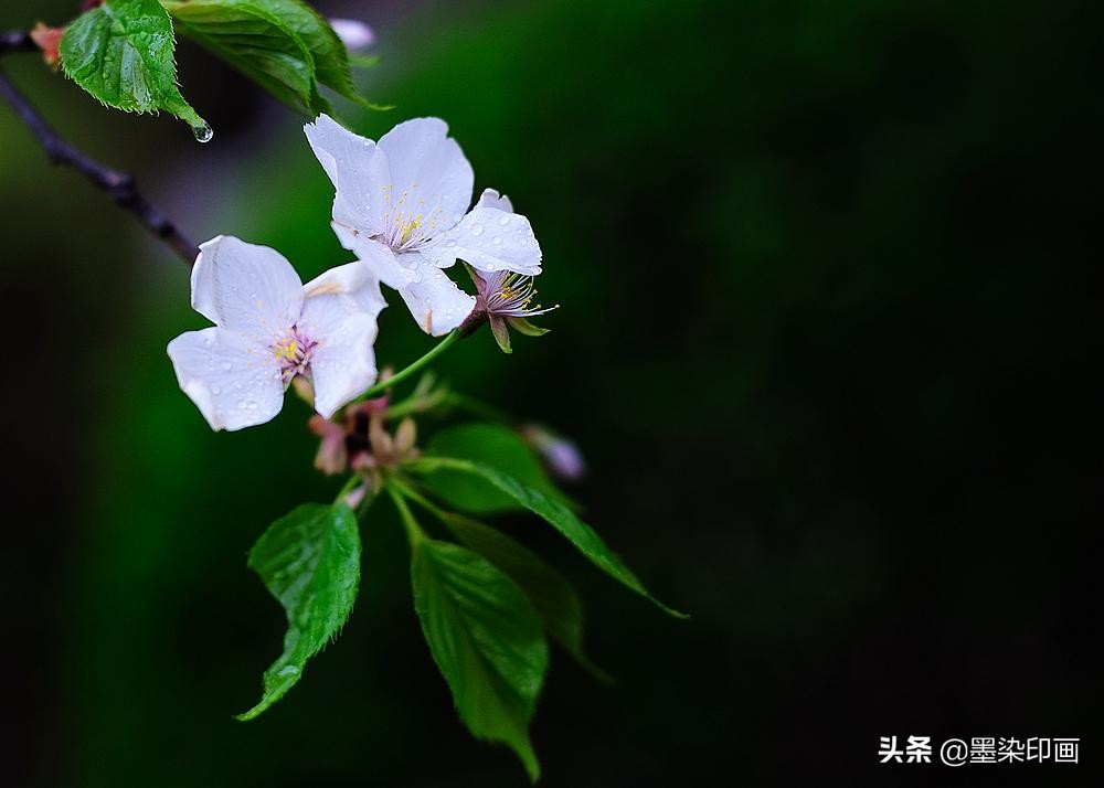 真相曝光补偿和反向曝光补偿区别,曝光补偿调正的还是调成负的好