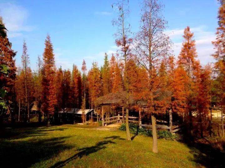 清远森波拉温泉晚餐,清远森波拉温泉度假村酒店报价