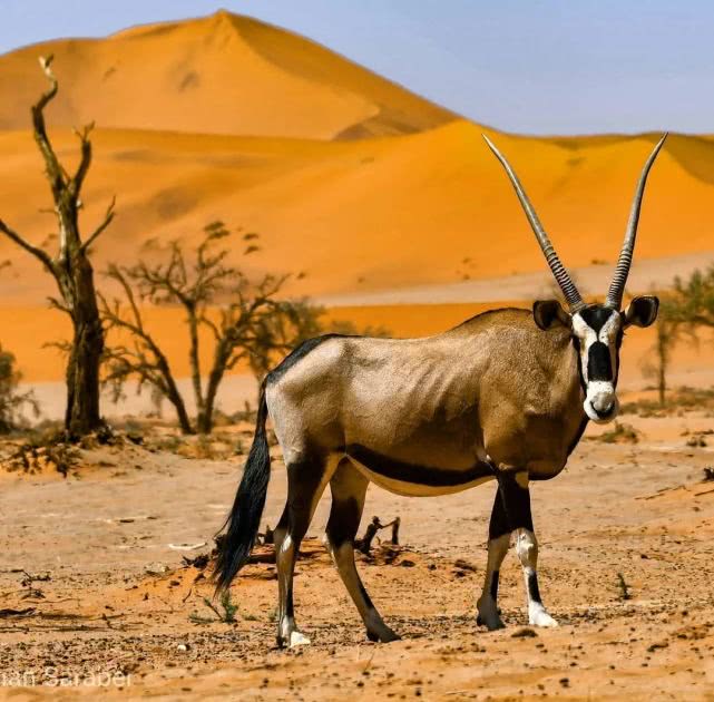 什么是非洲？这12处惊艳之地告诉你