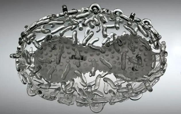 天花病毒如何干掉人类,天花病毒怎么意外消灭的